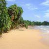 HIGHLIGHTS OF SRI LANKA - 5 Days 4 Nights - Image 6