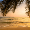 TOUCH OF EXOTICA - 4 Days 3 Nights